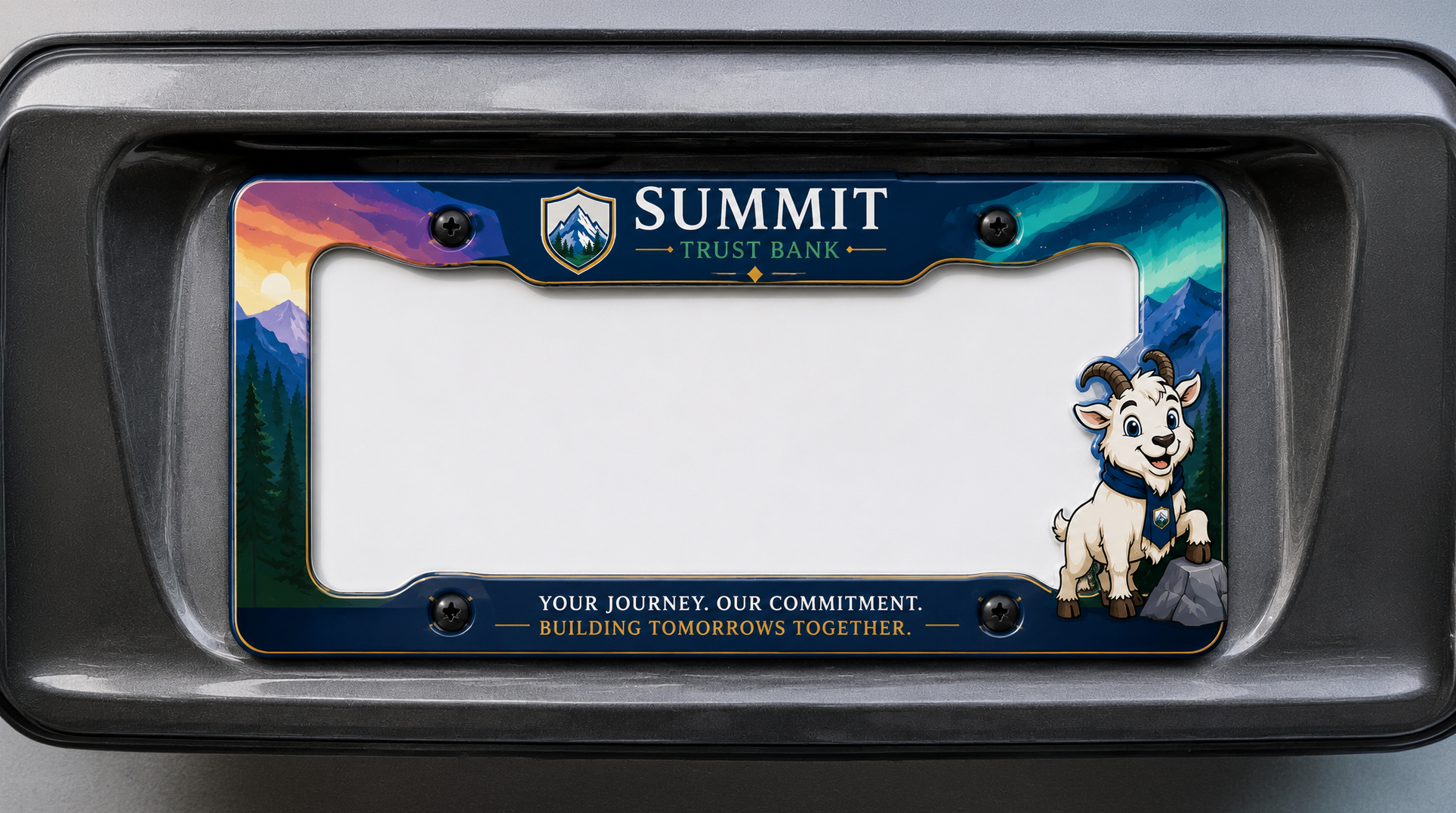License Plate Frames ABS Frame and Bars / PVC