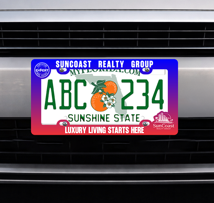 License Plate Frames ABS Frame and Bars / PVC